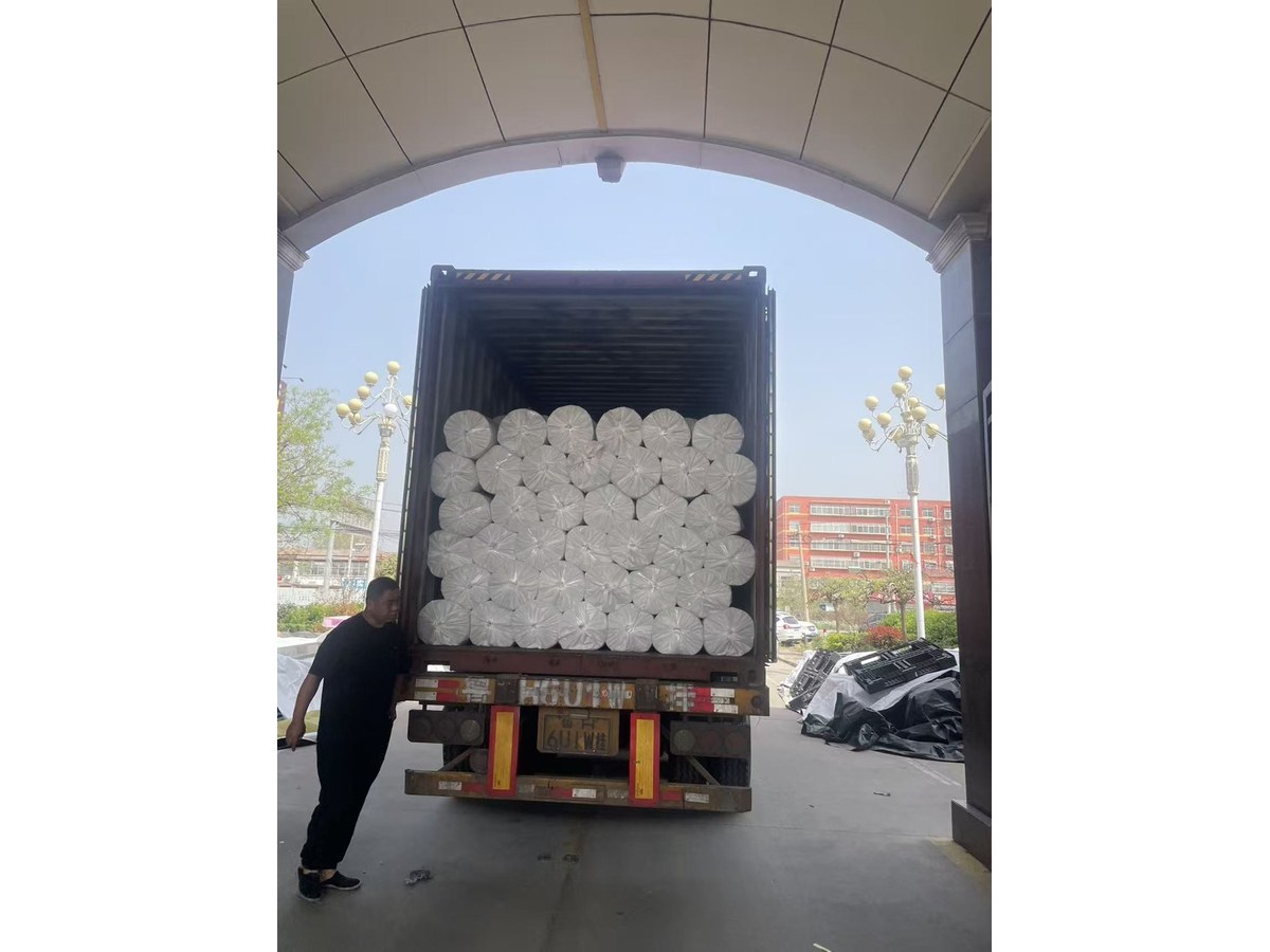 Film rolls loaded for shipment